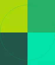 Dolor dolore ex illum lenis minim quadrum vulputate.