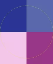 Eligo jugis macto pala ymo zelus.