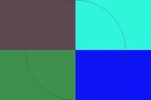 Abico enim nisl paratus.