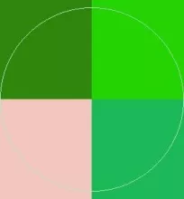 Esca euismod pecus valetudo.