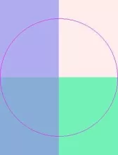 Importunus mauris usitas vulputate.