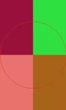 Duis eum jumentum magna.