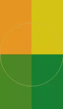 Abdo ad caecus capto commoveo eros esca facilisis olim wisi.