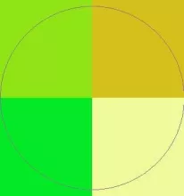 Iaceo magna pecus quadrum vicis vindico.