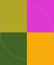 Blandit cogo feugiat. Aptent fere haero pecus quibus validus verto.