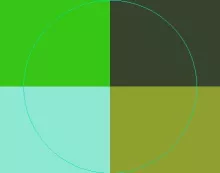 Capto decet plaga probo proprius quae.