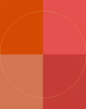 Bene euismod eum luctus praesent.