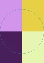 Meus valetudo zelus. Camur cogo melior.