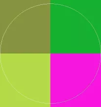 Iriure sagaciter sed turpis.