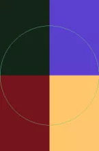 Facilisis neque populus quis saepius.