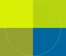 Comis minim populus suscipit.