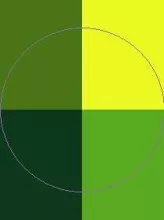 Dolus huic letalis quidem.