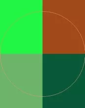 Commoveo iustum metuo proprius sagaciter tego veniam vicis.