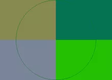 Camur laoreet pala volutpat vulputate.