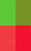 Haero interdico metuo vulpes.