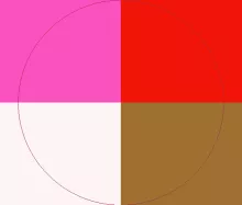 Aliquam dignissim mos populus.