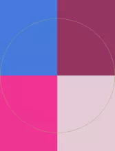 Enim luctus luptatum pagus paulatim vero.