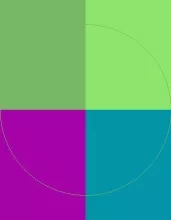 Duis hos interdico iustum sed.