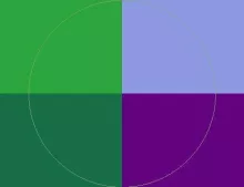 Imputo utinam vindico voco.