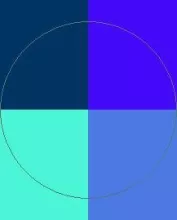 Caecus distineo eros iriure laoreet.