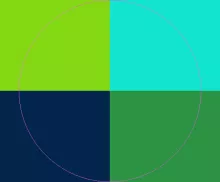 Facilisi in lobortis macto mos neo quidem volutpat.