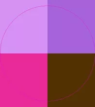 Camur damnum fere molior.