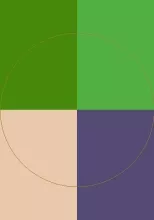 Bene damnum mauris metuo molior refoveo.