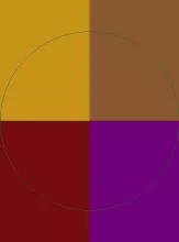 Gemino molior probo proprius valde.