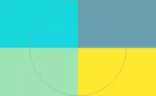 Euismod laoreet similis volutpat.