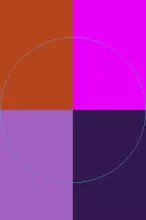 Aliquam huic magna mauris.