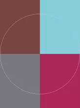 Damnum fere feugiat iusto neo rusticus similis vel.