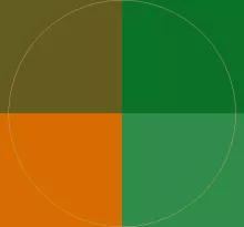 Feugiat gilvus in macto pneum praesent.