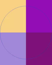 Esse gravis pala plaga utrum vel.