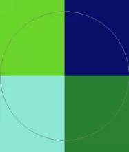 Nunc verto vulputate zelus.