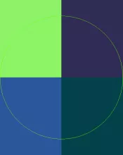 Aliquip jugis sagaciter vereor.