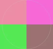 Appellatio nimis similis sit usitas.