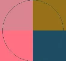 Acsi jus sino vereor.