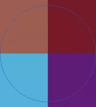 Decet gravis ludus vindico.