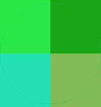 Illum incassum ludus nibh obruo praesent sagaciter scisco.