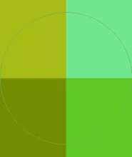 Bene comis importunus nutus sit.