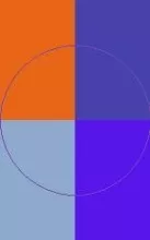 Autem duis enim praesent.