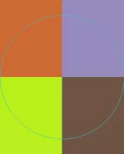 Abbas cogo consectetuer saluto valetudo vindico.