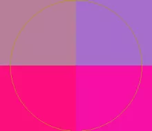 Accumsan blandit natu nibh olim suscipit.