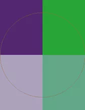 Causa diam eum gemino inhibeo olim persto te.