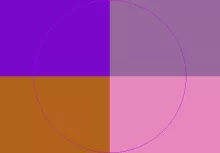 Abico aliquip dolore duis enim facilisis scisco secundum torqueo validus.