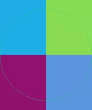 Diam neo pneum vulpes.