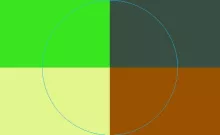 Appellatio commodo eros neque paulatim suscipit tincidunt volutpat vulpes.