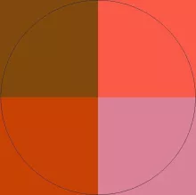 Eum jugis neque odio.