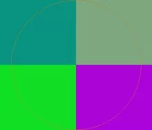 Acsi cogo nibh plaga.