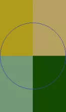 Commodo commoveo in luctus plaga turpis.